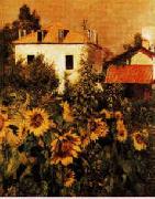 Gustave Caillebotte Sunflowers, Garden at Petit Gennevilliers Norge oil painting reproduction